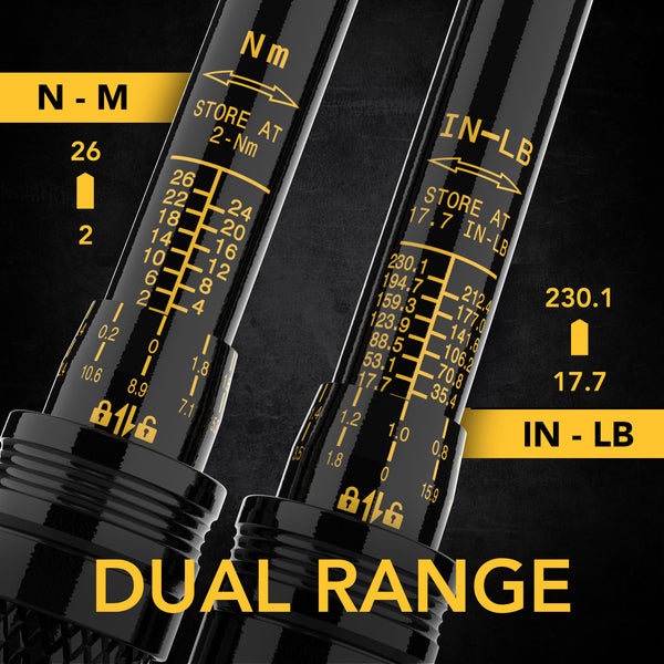 Bike Torque Wrench 1/4-Inch Dr. 15-Piece Kit | 72-Tooth Gear, Dual-Direction Click Type 2~26 Nm (17.7~230.1 in-lb) | Portable Maintenance Kit for Road & Mountain Bikes (LX-191)