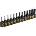 Tamper Proof Torx Bit Set, Premium S2 Alloy Steel | 13-Piece Security Star Bits, T4 - T40 | Precision CNC Machined (LX-301)