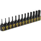 Tamper Proof Torx Bit Set, Premium S2 Alloy Steel | 13-Piece Security Star Bits, T4 - T40 | Precision CNC Machined (LX-301)